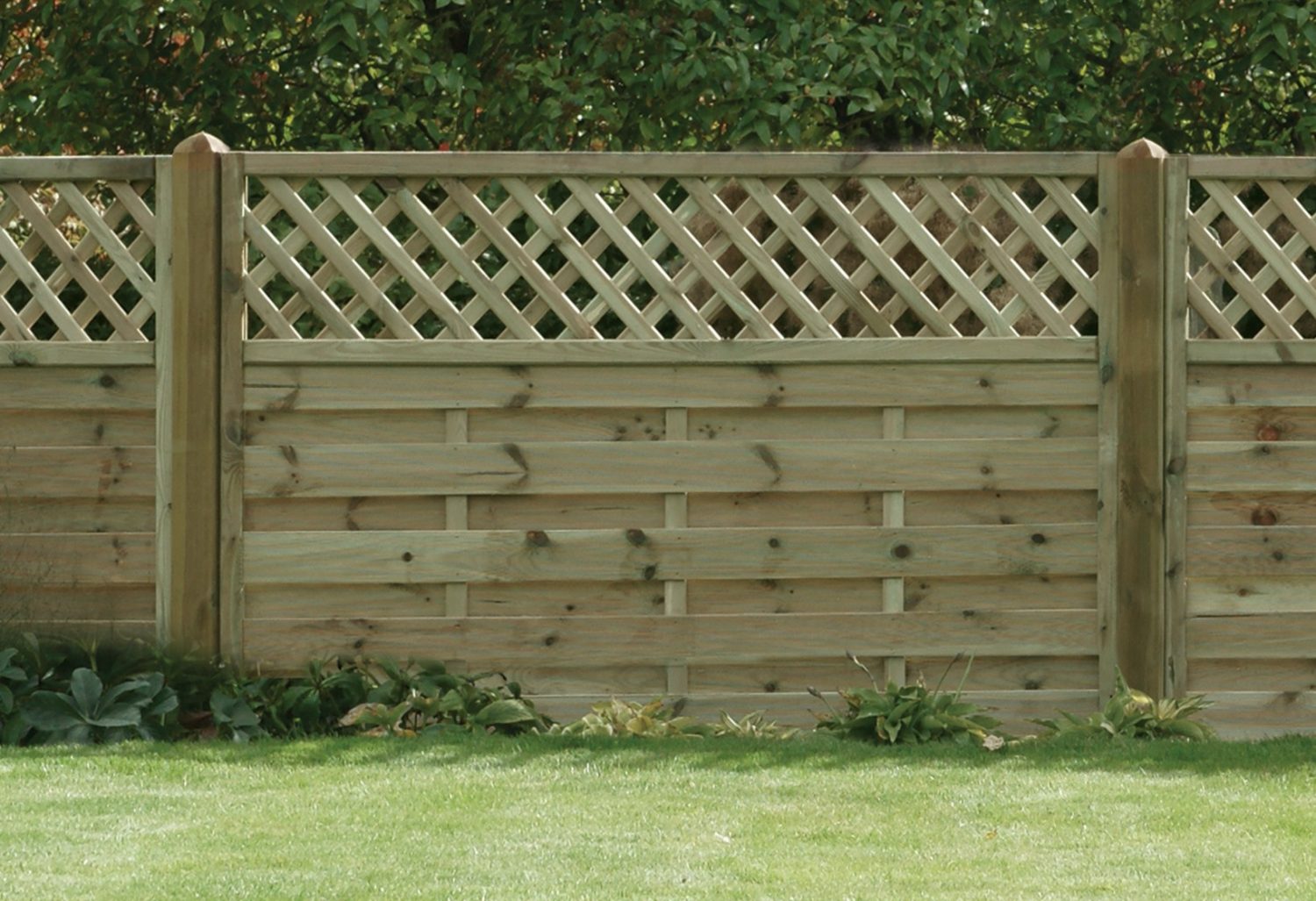 Imponerende hældning Emuler Horizontal Lattice Top Fence Panel 1800mm x 1200mm