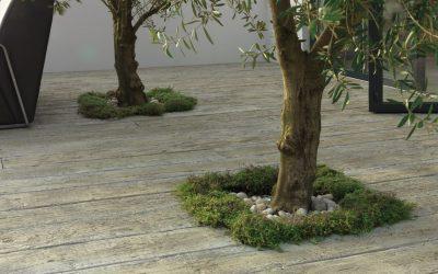 Why Millboard?