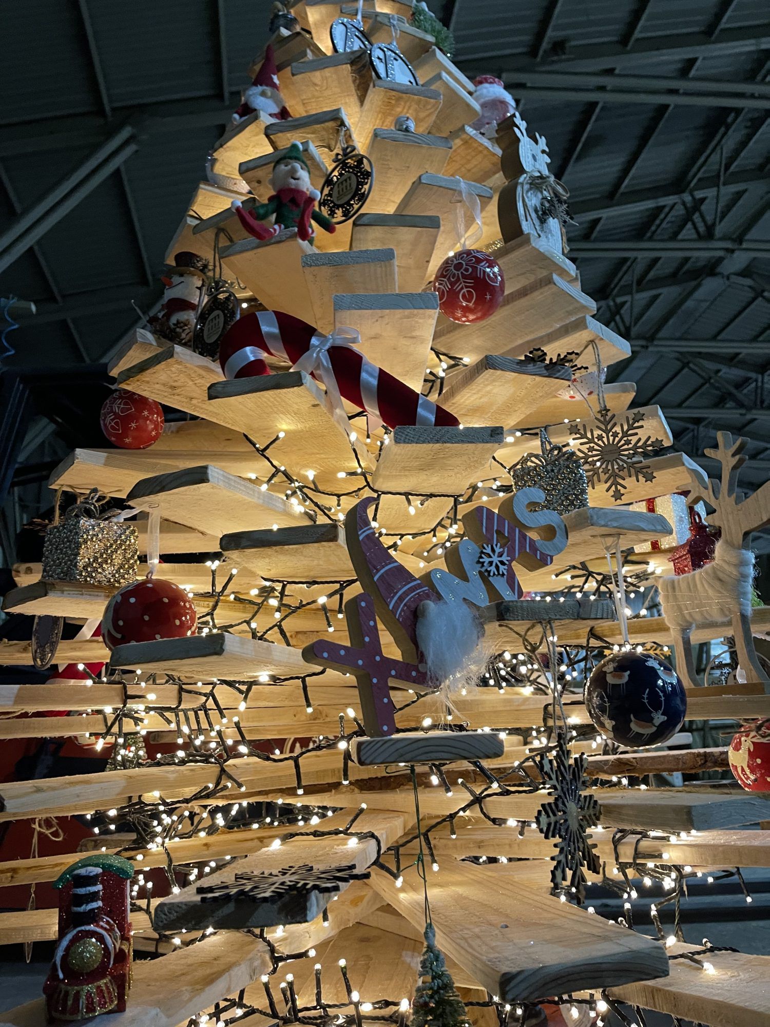 Last Remaining Christmas Tree - Image 3